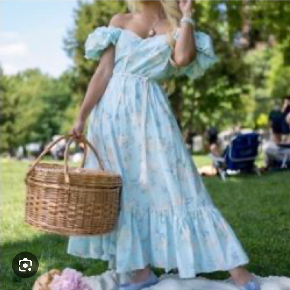 NWT LoveShackFancy for Target Floral Blue Dress Size 6